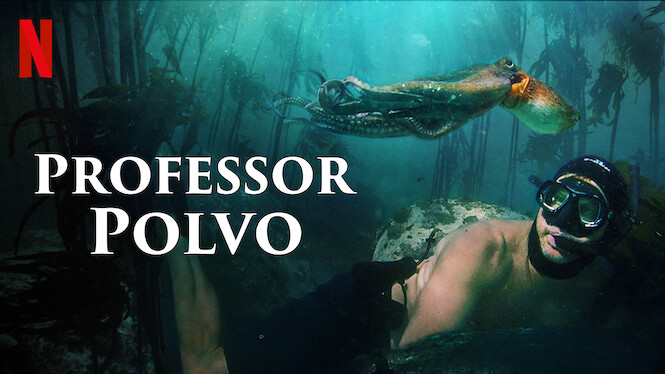 Professor Polvo